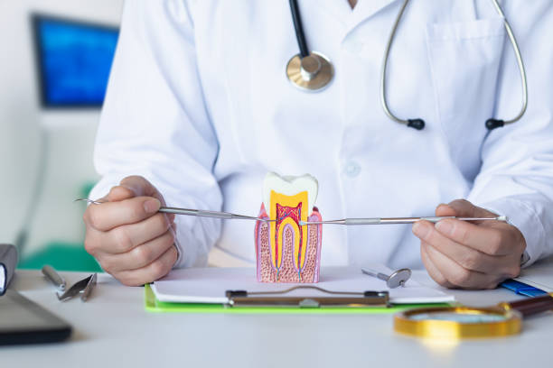 Best Emergency Dentist for Lost Fillings or Crowns in Baywood Park, CA